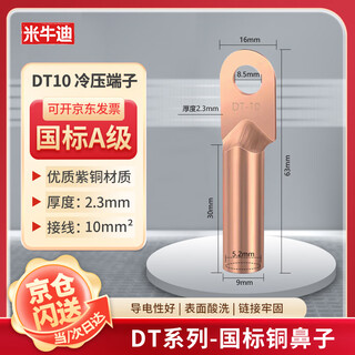 Miniudi national standard copper terminal block dt-10 square wire nose pickling oil-blocking copper nose cable connector a pack of 5