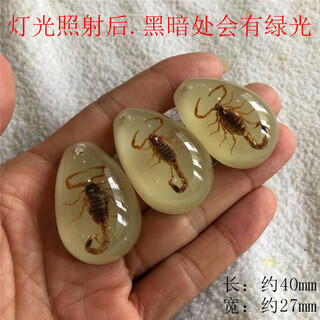 Dl 1998 luminous amber real insect specimens children's excavation archaeological blind box pendant accessories resin accessories luminous scorpion 50mm 20-