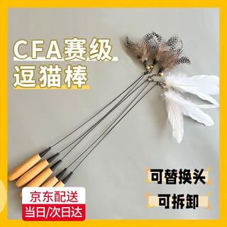 Star rudder cfa competition grade cat funny stick long pole cat toy small flying insect feather replacement head bite-resistant kitten supplies cat self-entertainment spring style competition grade cat funny stick + 5 replacements