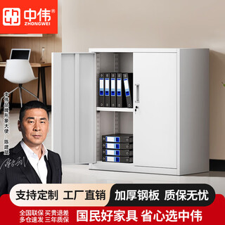 Zhongwei (zhongwei) office filing cabinet low cabinet steel iron cabinet locker financial information cabinet filing cabinet divided into two sections lower section