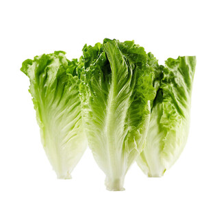 Zhonglingshan romaine lettuce 400g