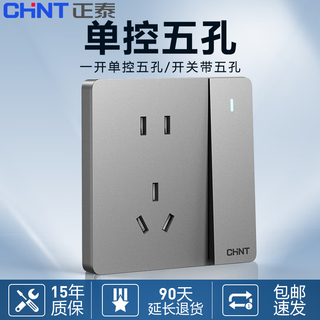 Chint (chnt) 86 type switch socket panel whole house set household power socket with slanted five holes, one open, 5 holes, wall concealed, frameless large panel, 6c magic silver gray, one open, single control, five holes