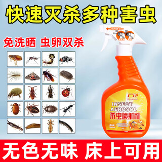Haushaltsreinigung von bettwanzen, flöhen, bücherläusen, bettwanzenmedikament, blutsaugendes insektenbettspray, nicht waschbares haushaltsinsektizid, spezielles insektizid