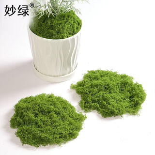 Runhuanian imitation moss landscaping fake moss yarn turf green plants micro landscape plant decoration artificial bionic lawn paving filamentous moss light green 50g can be paved 30*60cm