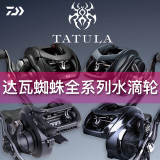 Dayiwa tatula25 black spider sea spider elite spider giant lei qiang luya water drop reel general-purpose long-range fishing reel national bank 22 spider tw 80xh 8.1 speed left hand