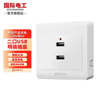 International electrical engineering usb socket wall 36v to 5v wall switch socket fast charge smart charging mobile phone typec panel 86 type household construction site universal surface-mounted - two usb sockets 220v to 5v
