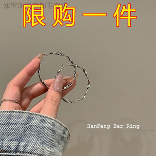 Rsrddy999 sterling silver large earrings unique twist earrings earrings niche design earrings women xy-silver wave earrings silver needles