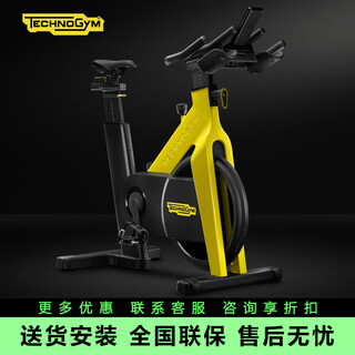 Technogym italian original imported spinning group cycle high-end home gym bike with console
