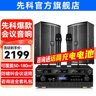 Xianke conference room audio equipment complete set combination home theater ktv music school training special system bluetooth amplifier microphone all-in-one wall-mounted stage speaker k5v two 10-inch audio set two microphones (50-180 square meters)