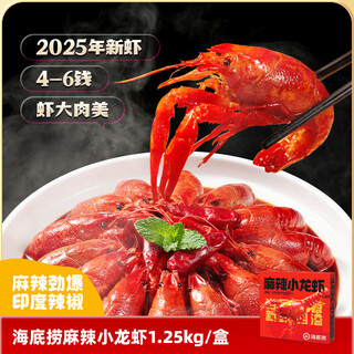 Haidilao spicy crayfish 1.25kg, new shrimp in 2025, average grade 4-6 yuan, clean shrimp 800g, whole shrimp, heat and eat