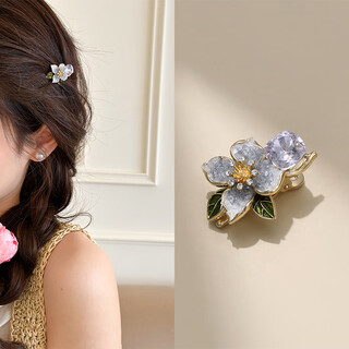 Chimera (chimera) starry sky flower language gentle flower side bangs clip broken hair mouth clip hairpin women's headwear girl birthday gift