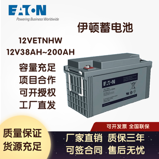 伊顿UPS蓄电池ETNHW12V38Ah/65A/100A/120A/150A/200AH通讯机房 其他产品联系客服