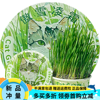 Greedy horse cat grass, lazy cat grass, ready-to-eat dehairing balls, cat snacks, hydroponic instant noodles, summer cat grass, winter style, aoxue lingshuang, combination 7 (single bowl), 1 pack