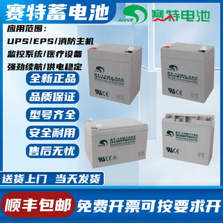 赛特海湾利达消防主机蓄电池赛特BT-12M/AT12V24AH7A10A12A16A17A38AH 12V1.3AH（全新原装正品）