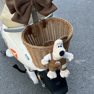 Ashtoea di guanneng q50/m85 decorative electric vehicle accessories child seat rearview mirror cute hook for brown large woven basket brown overalls doll