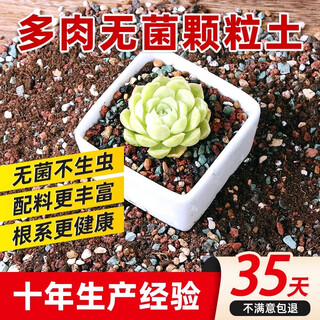 Huameinuo succulent nutrient soil special granular soil succulent soil potted planting soil seedlings old pile breathable soil special granular soil old pile 12jin jin equals 0.5 kg
