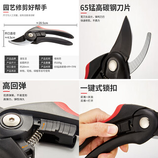 Manlife monstera special fertilizer nutrient solution hydroponics soil cultivation dual-purpose tools high-quality black handle gardening pruning shears