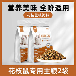 Monolingual squirrel rat special staple food full price food for all ages vitamin nutrition rat food supplies feed food snacks squirrel rat food 2 bags discount pack / instant discount of 5 yuan