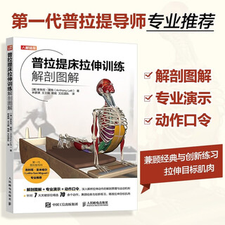 Anatomical illustration of pilates bed stretching training by anthony wright health care