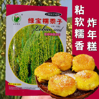 Yellow millet seeds, large yellow rice seeds, yellow rice seeds, broomsticks, millet seeds, shelled glutinous rice grains, rice dumplings, lvbao glutinous millet seeds, original 50g, 1 bag