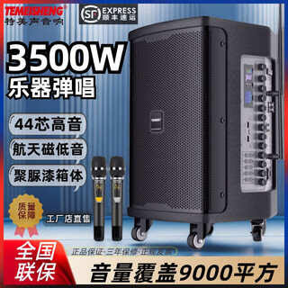 Temeisheng temeisheng jt10-66 outdoor musical instrument road show k song high-end electric acoustic guitar saxophone playing and singing live broadcast sound box 10 inches + 2 metal microphones + 2.4g wireless headset free luxury gift