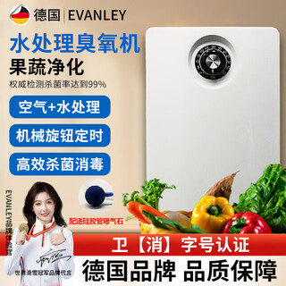 Evanley german ozone generator disinfection machine household air purifier water treatment efficient sterilization and disinfection deodorization and odor drinking water fruit and vegetable cleaning to remove pesticide residues 2000mg water treatment model-12 liters