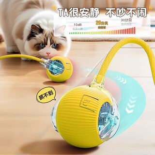 Hippie dog and cat toy cat automatic cat teasing ball, self-entertainment and boredom relief artifact, smart cat teasing stick, cat sliding ball