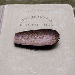 Wen yijia copper vintage antique/sakura tea shovel/small tea spoon mini tea spoon for tea leaves digging tea spoon sakura design tea shovel 8cm long 4cm wide