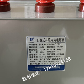 Shanghai viscon bsmj0.45 трехфазный самовосстанавливающийся низковольтный параллельный шкаф компенсации силовых конденсаторов, специальное место bsmj0.45-60-3(sh)