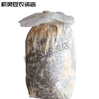 Morel mother species, first-level species, original species, second-level species, cultivated species, third-level species, soil-covering cultivation and planting. technical information will be provided. 1 bag of morel cultivar species for soil-covering cultivation.