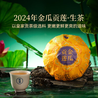 Double chen double chen pu'er 2024 lotus cake pumpkin gonglian raw tea pu'er tea 500g is particularly fragrant and sweet