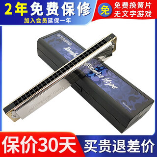 TOMBO Japan Tongbao 6624S 24-hole polyphonic harmonica performance beginners children and elderly people #D Eb full set