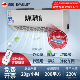 Evanley wall-mounted ozone generator industrial commercial school laboratory food factory packaging workshop disinfection machine garbage room purification air deodorization disinfection sterilization ozone machine 20g/h (200 square meters) remote control timing durable model
