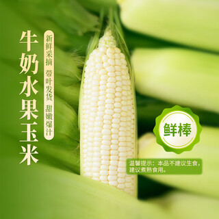 Oriental selection milk fruit corn sweet cereal breakfast fresh seasonal fruits, vegetables and agricultural products 4jin jin is equal to 0.5kg (5-8 pieces available) single piece weighs 220g+