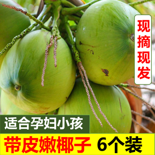 Ganguo has an appointment with hainan coconut, green coconut, fresh coconut with skin, green coconut to replenish amniotic fluid for pregnant women, 6 tender coconuts with skin - recommended for pregnant women