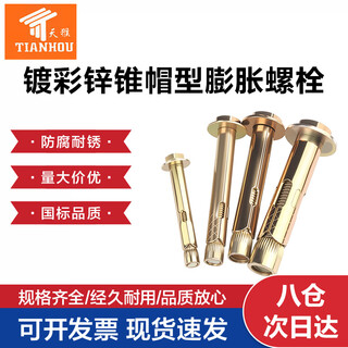 Tianhou cone hat type expansion bolt external hexagonal internal expansion screw explosion built-in tube expansion explosion carbon steel color zinc plated m6*60 (pack of 10