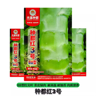 Onesaid light-based species are all bb type lettuce seeds, green skin, green flesh, disease-resistant and cold-resistant lettuce seeds field base sowing seeds duhong no. 3 bb type 10g 1 bag