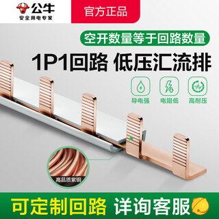 公牛（BULL）汇流排空气开关漏电空开连接铜排接线排端子断路器导电排梳妆母排 1P单匹63A（安）DZ47/C45通用 15位(装十五个开关）
