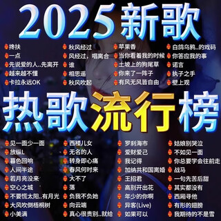 Car song usb disk 2025 new popular berlin sound lossless sound quality car special music usb disk package 1 built-in 1000 full songs