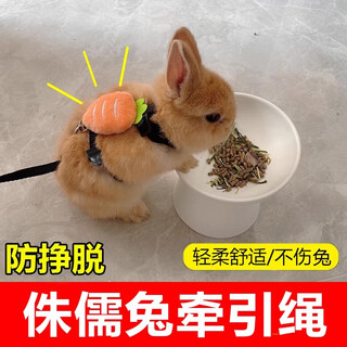 Amor's little rabbit traction rope is a special outing tool to prevent dwarf rabbits from breaking away. rope for chinchillas and dwarf rabbits. carrot type - yellow 1.2m s size (recommended 0-4jin jin is equal to 0.5kg)