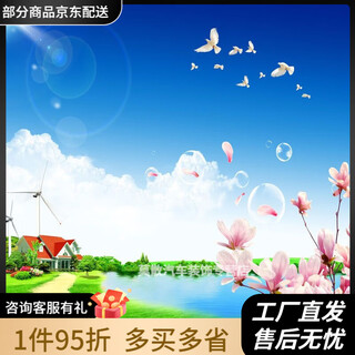 Graphene heater mural 300w graphene carbon crystal wall heating mural heater electric heater instant heating toilet white board white frame mural electric heating plate 300w blue sky