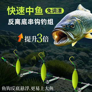 Newly upgraded anti-bottom string hook finished european carp double hook anti-water fishing group jinxiu jinhaixi iseni 1 set three string hook anti-bottom string hook iseni no. 6