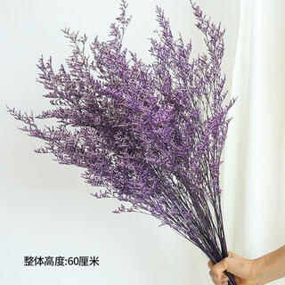 Lover's grass dried flower bouquet living room decorations aromatherapy yunnan natural air-dried high-quality real flowers dried flowers eternal flowers eternal purple lover's grass 1 bouquet 55-60cm