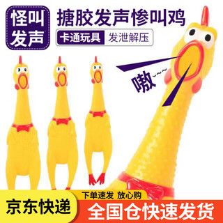 Pinqurome pet toy vinyl bite resistant simulation sound dog toy cat toy screaming chicken screaming chicken training supplies screaming chicken trumpet 1