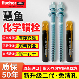 Reinforced fischer chemical anchor imported from germany high-strength stainless steel screw expansion agent screw m8m12m16m20 rgm12*160 (agent + screw)