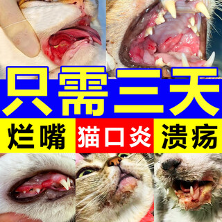 Cat oral anti-inflammatory spray, cat lip ulcer, stomatitis and drooling, special effect on pet dog gum inflammation, deep repair pack 50ml*2 bottles