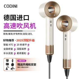 Codini german quality leafless hair dryer for home use with negative ions that won't hurt your hair. high-power hair dryer for hair salons and barber shops with hot and cold air for silent styling and quick drying.