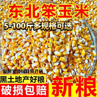50jin jin is equal to 0.5kg. new corn kernels are large. 100jin jin is equal to 0.5kg. dry corn kernels. corn seeds are fed to chickens, ducks, geese, pigeons and pigeon feed. 5jin jin is equal to 0.5kg. natural unwaxed, sulfur-free and smoked farmhouse high-quality corn kernels. 5 bags are sent. 50jin jin is equal to 0.5kg. great value. pure new grains arrive for ventilation and drying. purchase on demand.