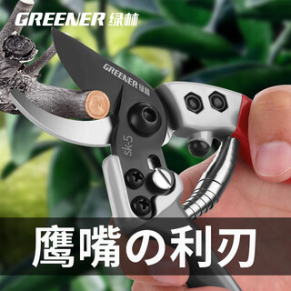 Shantou lincun japanese sk5 steel fruit tree gardening pruning shears, special scissors for cutting branches, flower shears, floral branch scissors, professional style sk5 steel + waist box_maintenance oil_elastic