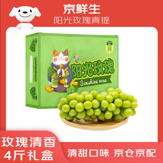 Jingxiansheng sunshine rose grape green grape 4-4.5jin jin is equal to 0.5kg gift box, single fruit about 10g, fresh fruit, fresh gift box